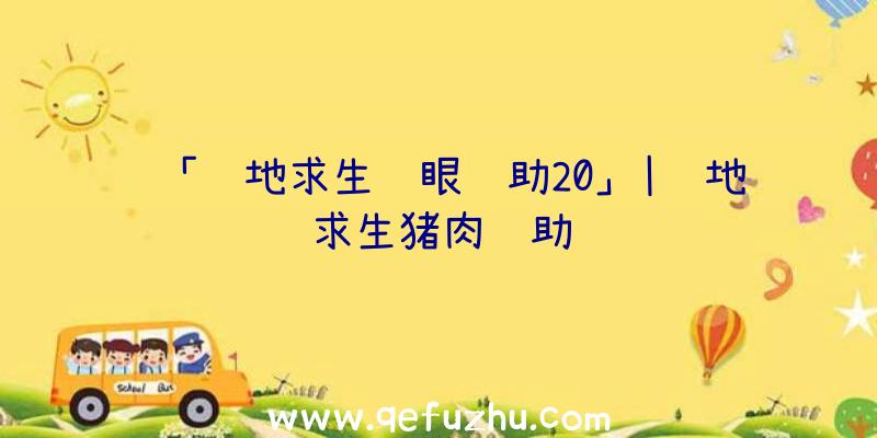 「绝地求生鹰眼辅助20」|绝地求生猪肉辅助